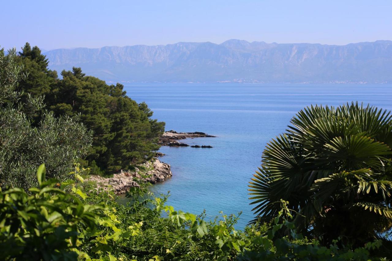 Apartments And Rooms By The Sea Trpanj, Peljesac - 258 ภายนอก รูปภาพ