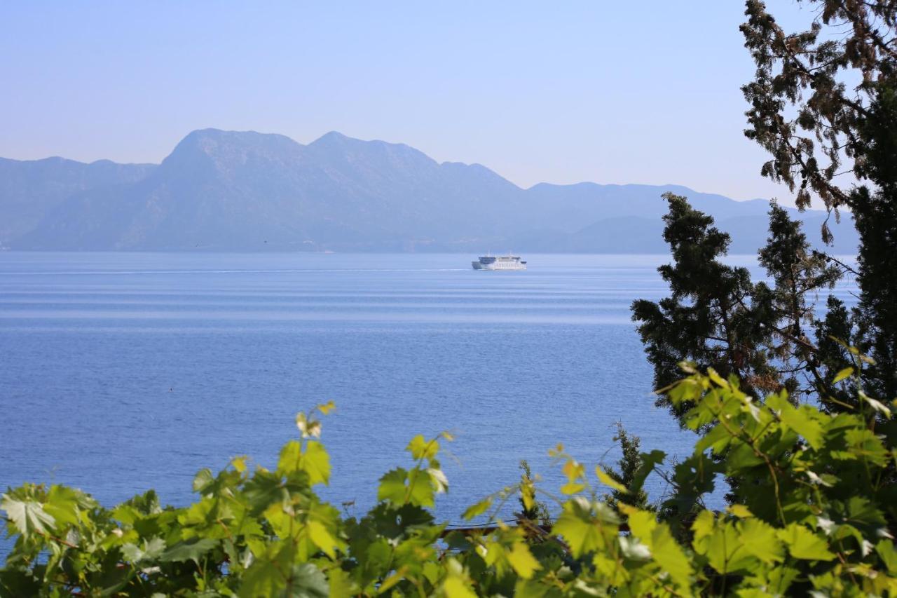 Apartments And Rooms By The Sea Trpanj, Peljesac - 258 ภายนอก รูปภาพ